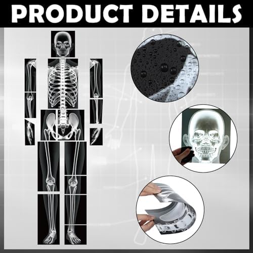 Lineshading 16 Pieces Human x Rays Bones Pretend x Rays for Kids Human Bones Body Educational Science Kit Display Play Table(Black and White) - Image 3