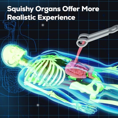 GobiDex Human Body Skeleton Model Kit, Glow in The Dark Science Kit for Kid - Image 3
