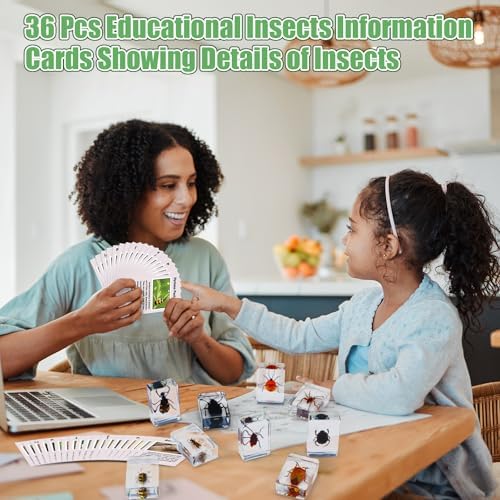 GlikCeil 36 Pcs Insect in Resin Specimen Bugs Discovery Kit Collection Paperweight Bug with Information Flash Cards Preserved in Resin with 3 Magnifier for Scientific Educational Display Supplies - Image 5