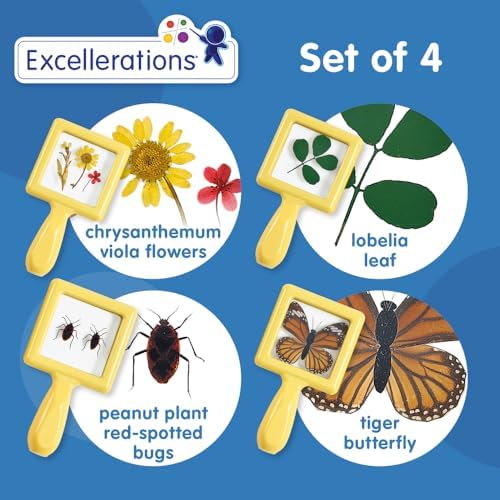 Environments Toddler, Preschool Early STEM, Specimen Viewers for Kids, Science Education Set of 4 - Image 2
