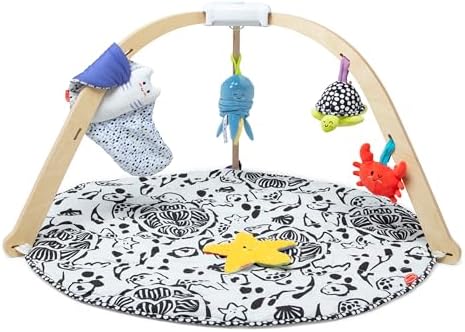 Melissa & Doug Ocean Wooden Baby Play Gym, Easy-Fold Baby Activity Center, 5 Washable Sensory Toys & Reversible Play Mat, Infant Toys, Ages 0–9 Months - FSC Certified by Unknown