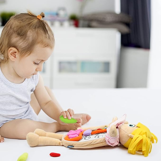 KAKIBLIN Human Body Model for Kids, Plush Anatomy Doll - Image 2