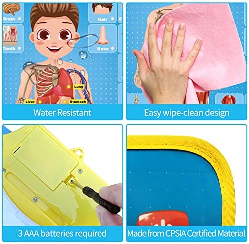 My Body Interactive Educational Poster for Toddlers and Kids to Learn Body Parts, Organs, Muscles and Bones, 16'' x 22'' - Image 6
