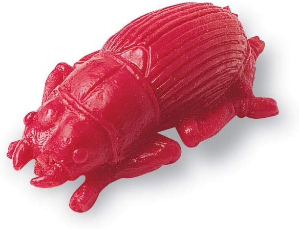 Learning Resources Backyard Bugs Counters - 72 Pieces, Ages 3+ Counting and Sorting Toys for Toddlers, Preschool Learning Toys - Image 3