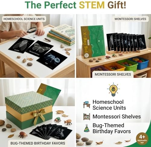 16Pcs Large A4 Insect & Animal X-Rays for Kids – Bug Science Kit & Light Table Accessories, Classroom & Homeschool Science Unit, Pretend Play Bug Scientist Detective, Bug-Themed Birthday Party Favors - Image 5