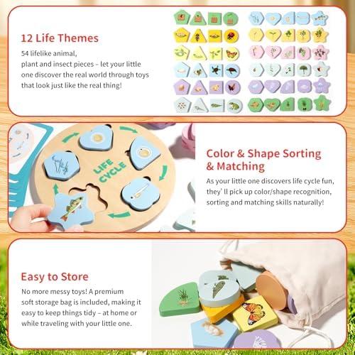 INIFEIDALA Montessori Wooden Preschool Educational Toys for Toddlers 3-6 - Image 6