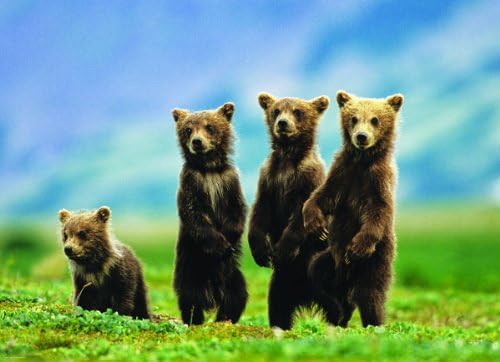 Bear Cubs Standing Puzzle, 300-Piece - Image 2