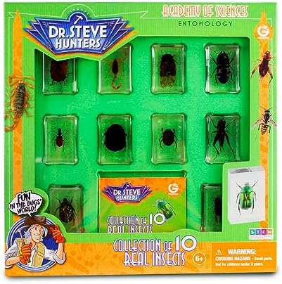 Geoworld 10 Insect Specimens Set - Real Beetles, Scorpions, Crickets in Resin with Magnifying Glass & Booklet - Great for Science Projects - Kids Scientific Educational Toy - Image 7