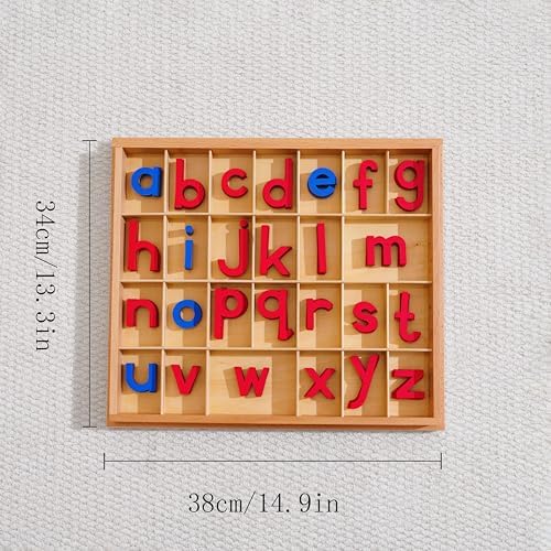 Premium Wooden Movable Alphabet 15in 2.5 lbs,155 Lowercase Letters with Beechwood Box,Montessori Toys Red Blue Letters for First Writing Reading Homeschool Language Material Small Movable Alphabet - Image 6