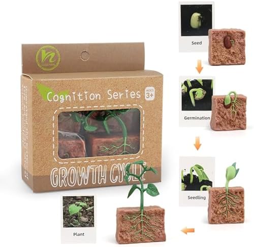 ​Montessori Life Cycle Learning - Montessori Life Cycle Animal Figures with Flash Cards, Realistic Plant Figurines Toy, Animal Educational Matching Game for Kids (Plant) by BOTICAKO