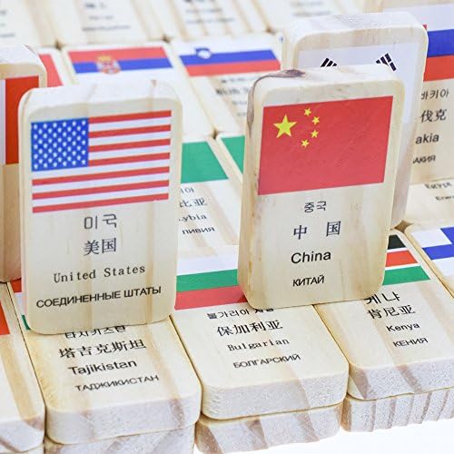 HSOMiD Wooden Educational Toys for Kids World Flag Learning Educational Toy (Domino) - Image 7