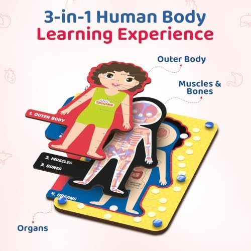 Smartivity Human Body Anatomy Puzzle for Kids 4-7 Years - Image 2