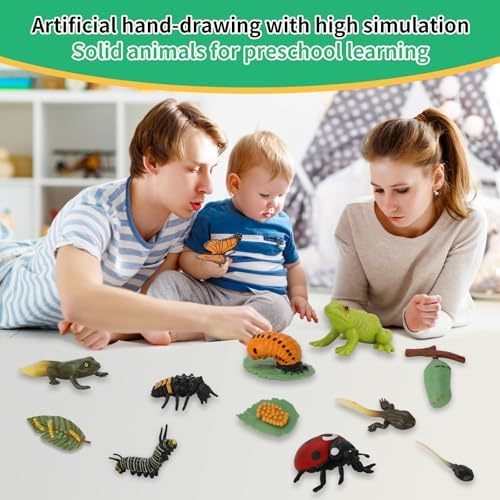 Montessori Life Cycle Learning & Education Toys - Plastic Insect Ladybug, Monarch Butterfly, and Tadpole-to-Frog Kit for Kids, Learning Activities for Early Education - Image 3
