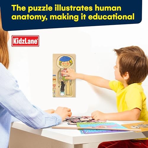 Kidzlane Boy Wooden My Body Puzzle for Toddlers & Kids - 29 Piece Boys Anatomy Puzzle Kid Play Set - Anatomy for Kids, Skeleton Toys for Children Ages 3 Plus - Image 2