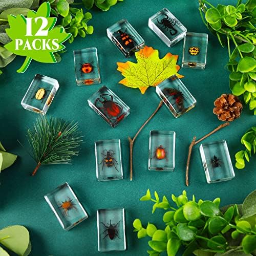 12 Pcs Insect Specimens for Kids Bug Collection Kit, Ladybug - Image 2