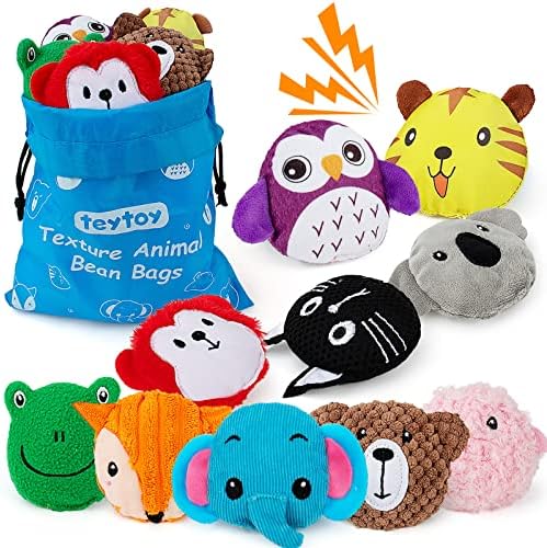 teytoy Sensory Bean Bag for Kids 10 Pack,Texture Sensory Beanbags,Sensory Toys for Autism,Animal Sensory Fine Motor Toys with Storage Bag for Boys and Girls by teytoy