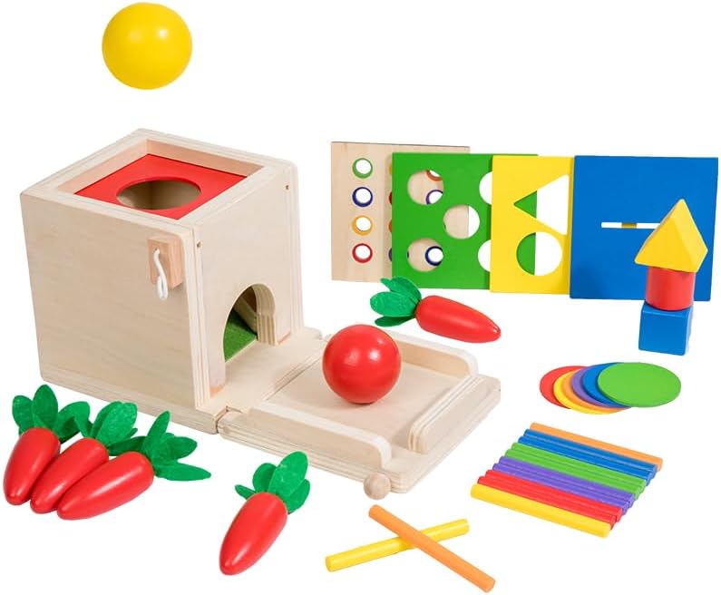 Practical Life Skill Pincer Grasp 5-in-1 Toy Object Permanence STEM Educational Toy Posting Coin Piggy Bank Carrot Harvest Push- Matching/Geometric Solid Box Toddler Gift 3-6 Years by EduLandMontessori