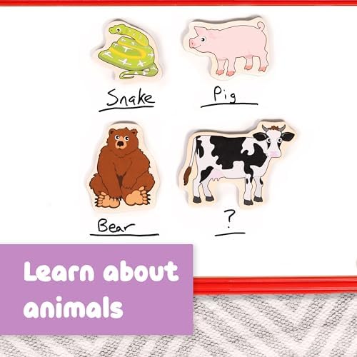 Spark & Wow Wooden Magnets, Animals, Set of 20 - Image 6