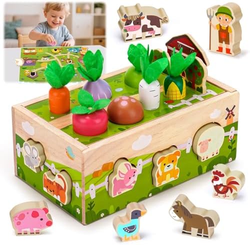 1 Year Old Girl Gifts, Montessori Wooden Toy for Toddlers 1-3, Baby Toys by Unknown