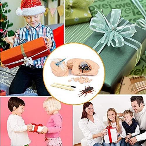 TRADE Big Bug Fossil Dig Kit - STEM Science & Educational Toys -Dig Up 12 Real Bugs Fly Ant Scorpion Lady Beetle Locust Cockroach Bumble Bee Cicada Dragonfly Cricket Praying Mantis Multicolored - Image 7