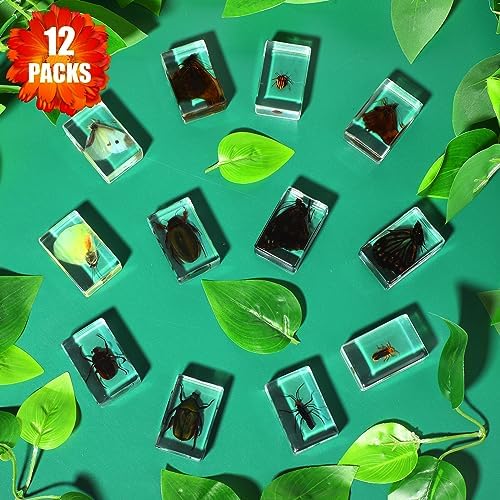 12 Pcs Insect Specimens for Kids Bug Collection Kit, Glowworm - Image 2