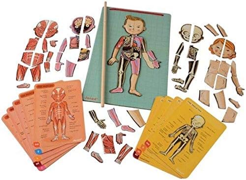 Janod - Bodymagnet - Educational Human Body Game by Janod