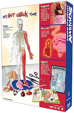 SmartLab QPG Lab for Kids, Squishy Human Body, Grade 3-8 - Image 2
