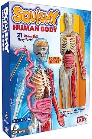SmartLab QPG Lab for Kids, Squishy Human Body, Grade 3-8 by Unknown