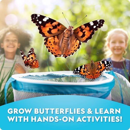 National Geographic Ultimate Butterfly Growing Habitat Kit for Kids - Image 2