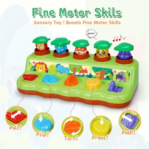 FS Pop Up Toy for 1 Year Old, Cause and Effect Learning Toy - Image 4