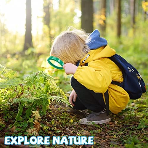 Lewtemi 6 Pack Kids Magnifying Glass with Stand, Multicolor - Image 4