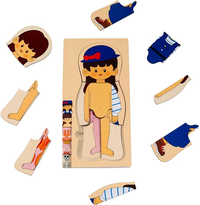 My Body Parts Wooden Anatomy Puzzle, Preschool Learning Human Body Skeleton Toy for Boys and Girls 3-8 Years Old by chansword