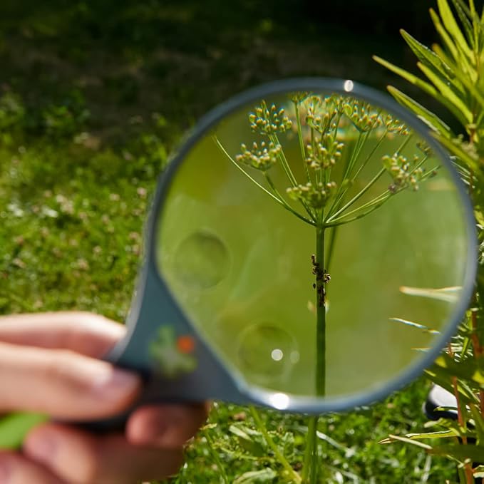 HABA Terra Kids Magnifying Glass with 3 Enlargement Options - Image 6