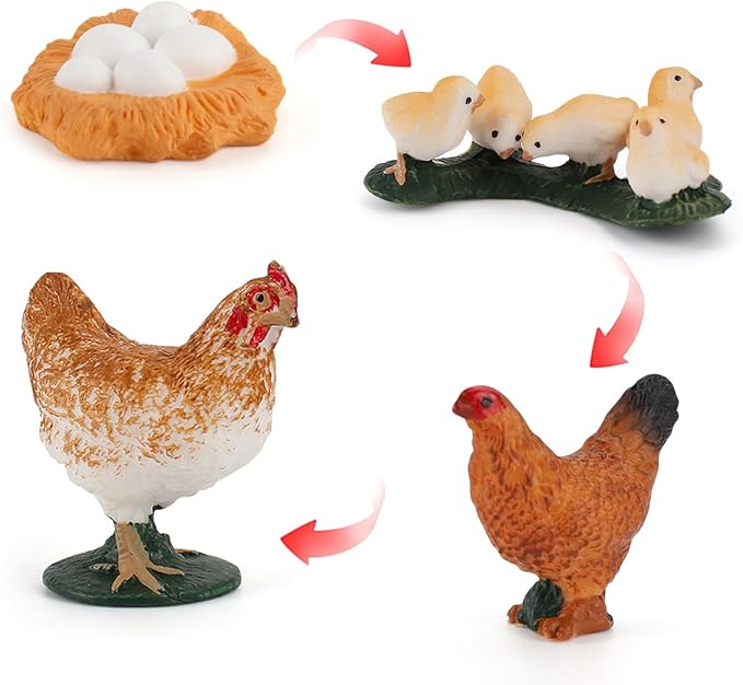 Montessori Life Cycle Animal Figurines Learning & Education Toys, Plastic Insect Life Cycle Toys, Preschool Learning Activities (Hen Goose Duck) - Image 2