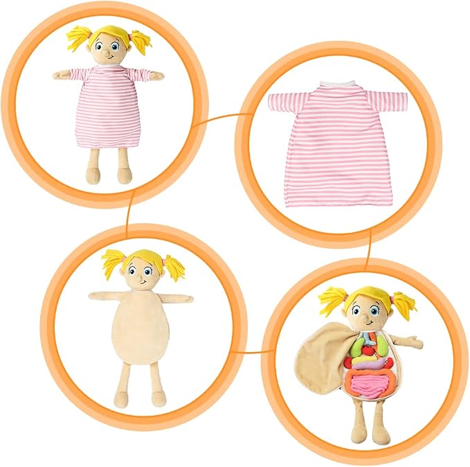 KAKIBLIN Human Body Model for Kids, Plush Anatomy Doll - Image 6