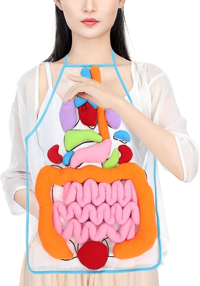 POPETPOP Human Organs Apron 3D Educational Toy for Kids Preschool Cognitive Anatomy Teaching Tool for Home and Classroom Science Learning by POPETPOP