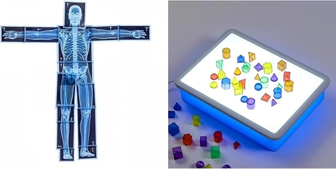 21 Pieces X-Ray Sets of Human Skeleton - Bright LED Light Box - Human Nerves, Human Blood Vessels and Human Lymphatic - Xray for Light Table by Odoorgames
