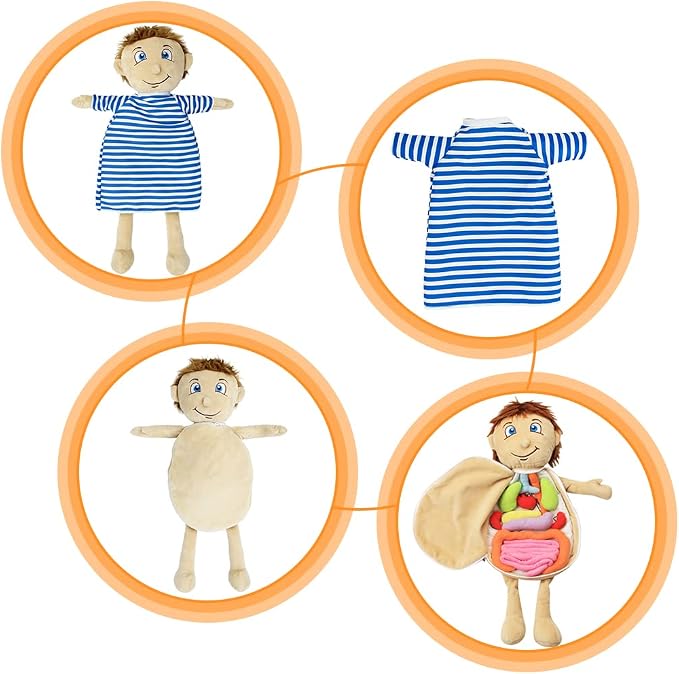 KAKIBLIN Human Body Plush Toy with Removable Organs for Toddlers Learning - Image 6