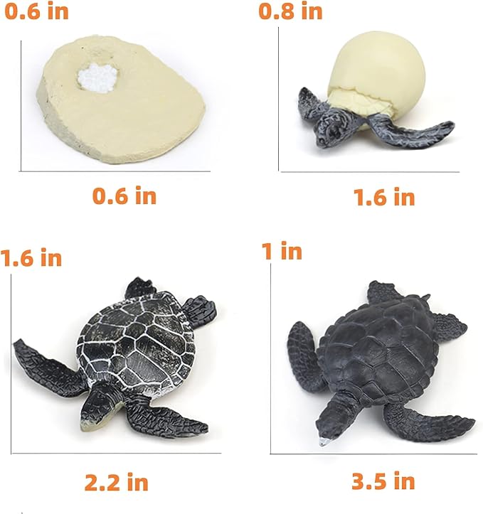 Montessori Life Cycle Animal Figures with Flash Cards, Realistic Animal Figurines Toy, Educational Matching Game for 3+ Year Old Kids (Turtle) - Image 3