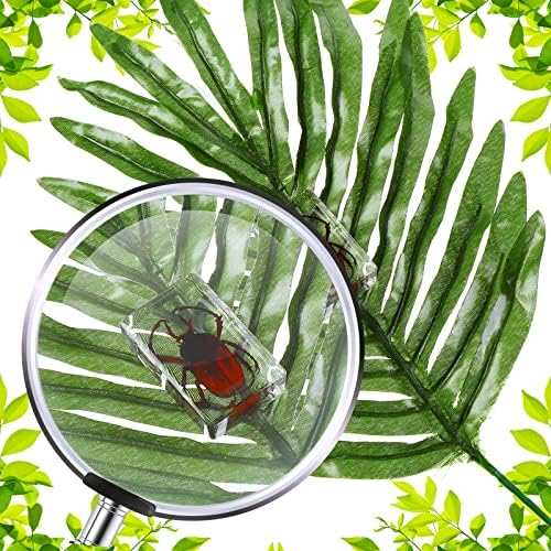 12 Pcs Insect Specimens for Kids Bug Collection Kit, Ladybug - Image 3