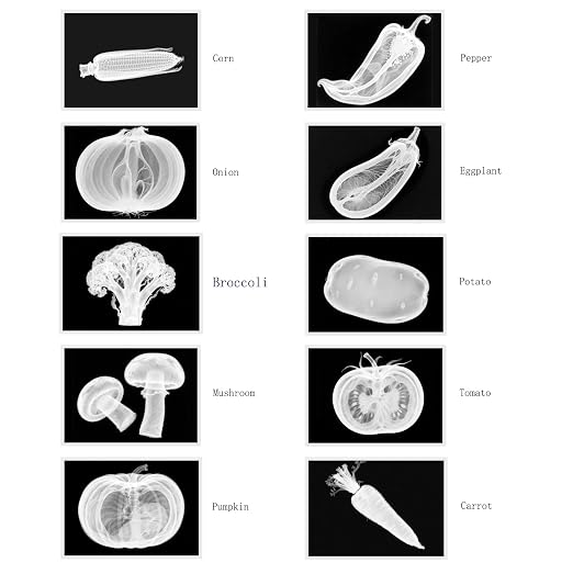 Vegetable, Fruit and Plant X-Rays, Set of 10, Simulation Specimen, Science Experiment Material for Kindergarten, Light Table, Montessori & Reggio-Inspired (Vegetables) - Image 4