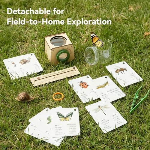 Wooden Bug Catcher for Kids, Tri-View Bug Viewer Kit, Top & Bottom Magnifiers, Insect Observation Container with Tweezers, Ruler & 10 Insect Cards, STEM Outdoor Explorer Toy - Image 6