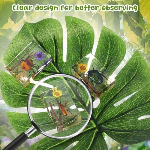 Macarrie 12 Pcs Insect Specimens for Kids Bug Collection Kit, Scenery - Image 4