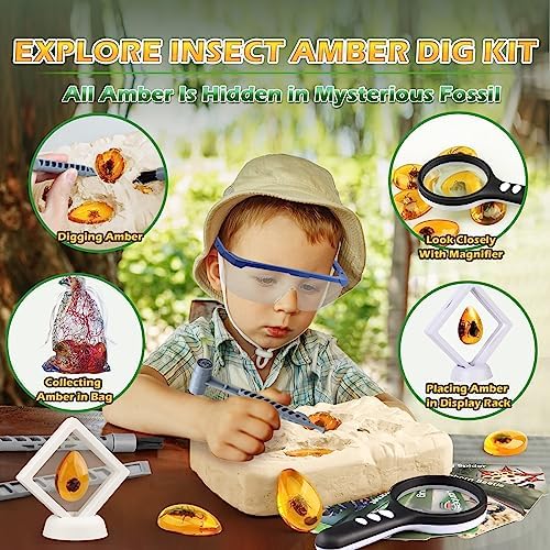 Woumserta Amber Dig Kits, Bugs Toys for Kids 5-7, 8 Insects Specimens Gifts - Image 3