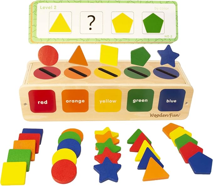 WOODENFUN Wooden Color Shape Sorting Toys Box for Toddlers 1-3 by WOODENFUN