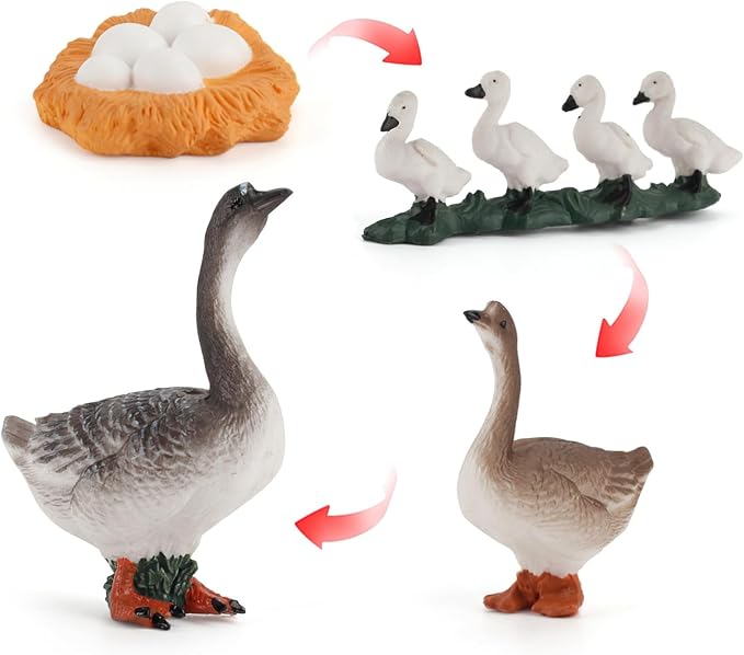 Montessori Life Cycle Animal Figurines Learning & Education Toys, Plastic Insect Life Cycle Toys, Preschool Learning Activities (Hen Goose Duck) - Image 4
