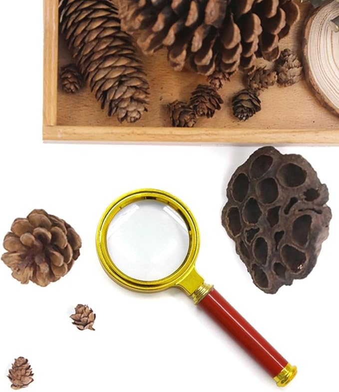 Montessori Nature Exploration Kit, Kids Outdoor Sensory Science Toy - Image 3