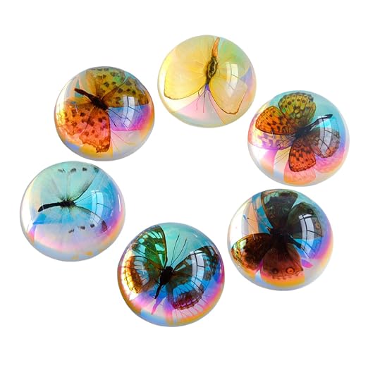 Real Butterfly Specimen in Resin,Insect Specimens for Education - Image 7