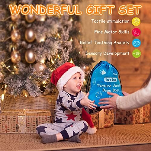 teytoy Sensory Bean Bag for Kids 10 Pack,Texture Sensory Beanbags,Sensory Toys for Autism,Animal Sensory Fine Motor Toys with Storage Bag for Boys and Girls - Image 5