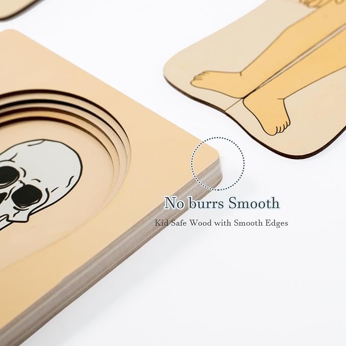 [Brand] My Body Parts Wooden Anatomy Puzzle, Preschool Learning Human Body Skeleton Toy for Boys and Girls 3-8 Years Old - Image 5